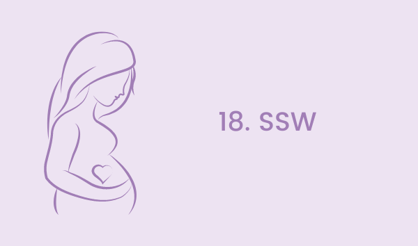 Die 18. Schwangerschaftswoche – in der 18. SSW wird viel geschlafen