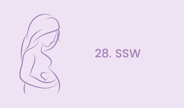 Die 28. Schwangerschaftswoche – in der 28. SSW wird am Gehirn gearbeitet