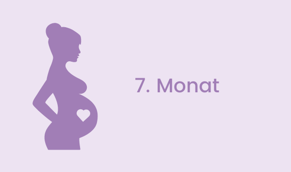 Der 7. Schwangerschaftsmonat – euer Baby findet sein Gleichgewicht