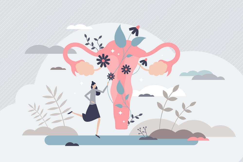 Eisprung - Was passiert da eigentlich?