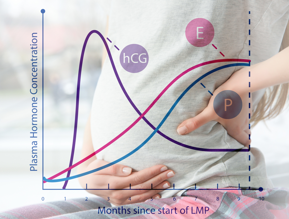 Health,Care,Concept.,Graphic,Of,Changes,In,Hormone,Levels,During