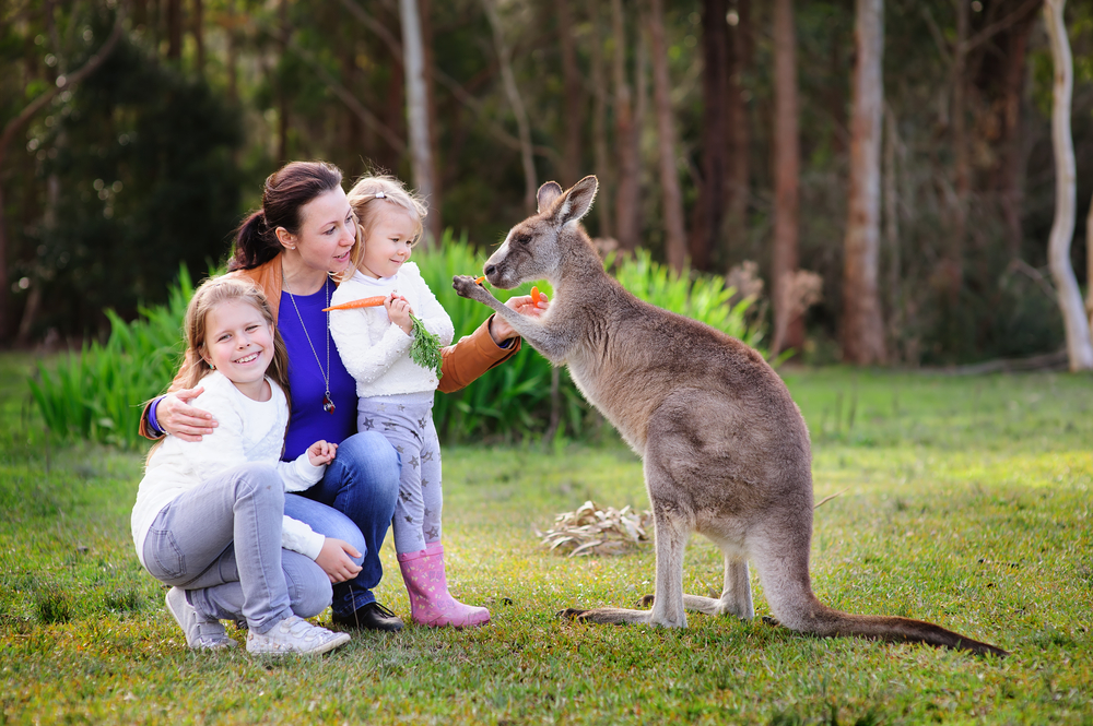 Aktivitäten Kinder Australien